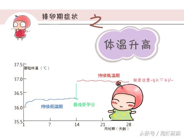 女人有4大征兆,有哪些症状提示你在排卵期