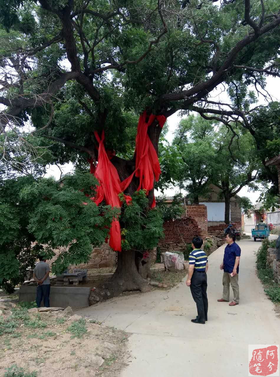 农村常见可以止痒的植物,农村一种常见植物能祛湿止痒