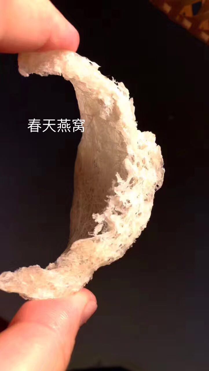 燕窝知识及鉴别哪种燕窝最好,燕窝的泡法来分辨燕窝的好坏