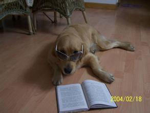 莫名其妙被别人邀请进群,突然被加入群聊