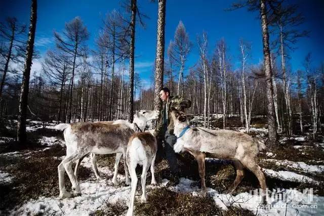 太平洋大逃杀电影1,太平洋大逃杀王千源