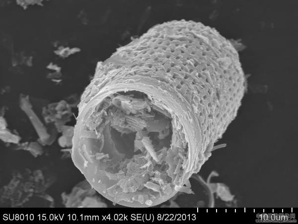家庭装修：硅藻泥到底是真有用还是纯忽悠？