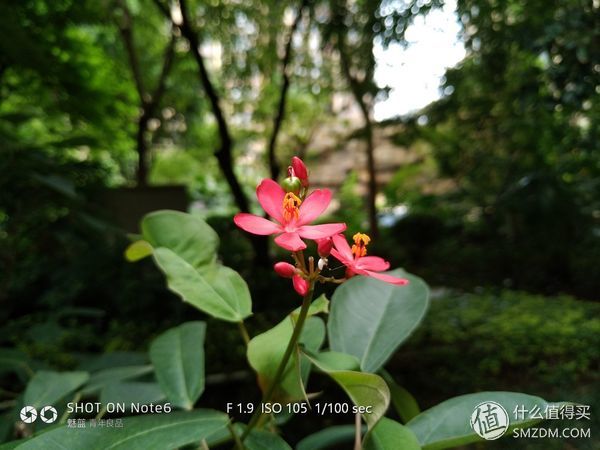 不吹不黑评测视频,不吹不黑手机体验