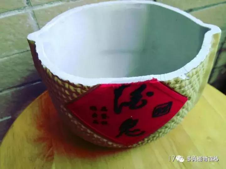 透明酒瓶种多肉怎么才好看,空酒瓶利用种多肉