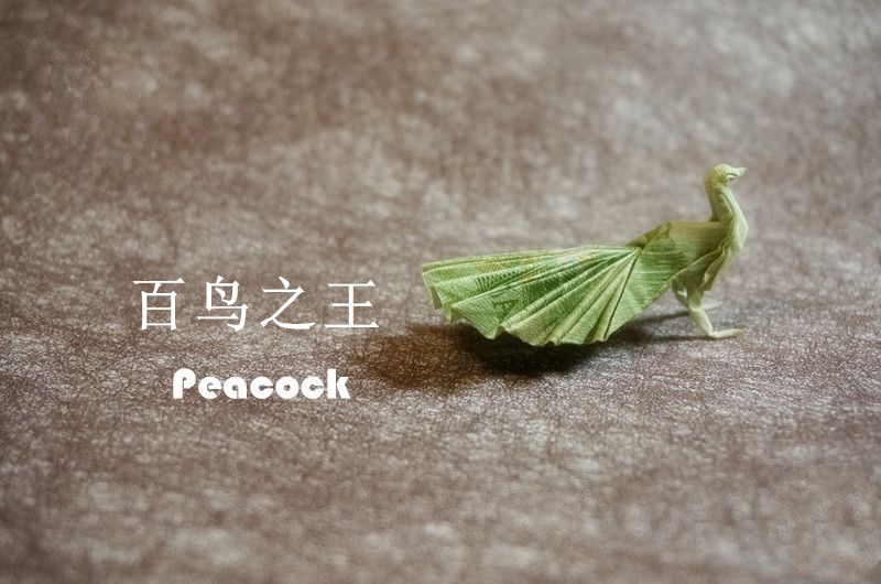 6-12岁少女手工折纸教程大全,简单手工折纸教程幼儿园手工作业