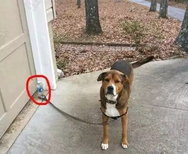 男子做完怎么也拨不了，消防员来了也没办法！最后还得用这个！