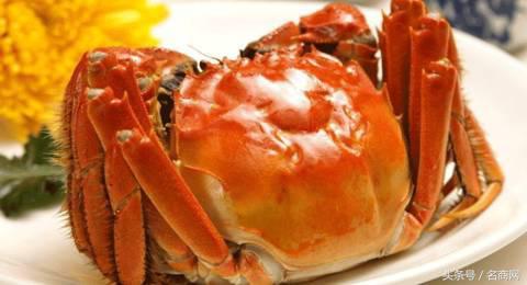 阳澄湖大闸蟹为什么电商很便宜,阳澄湖大闸蟹多少元一只
