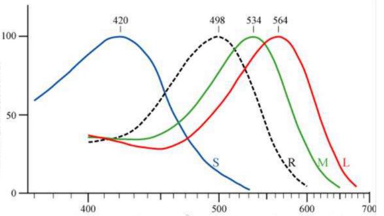 光真的是无限的吗,光是否也是无色的