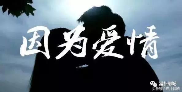 因为爱情,这几个人说出了留在或者离开聊城的原因!