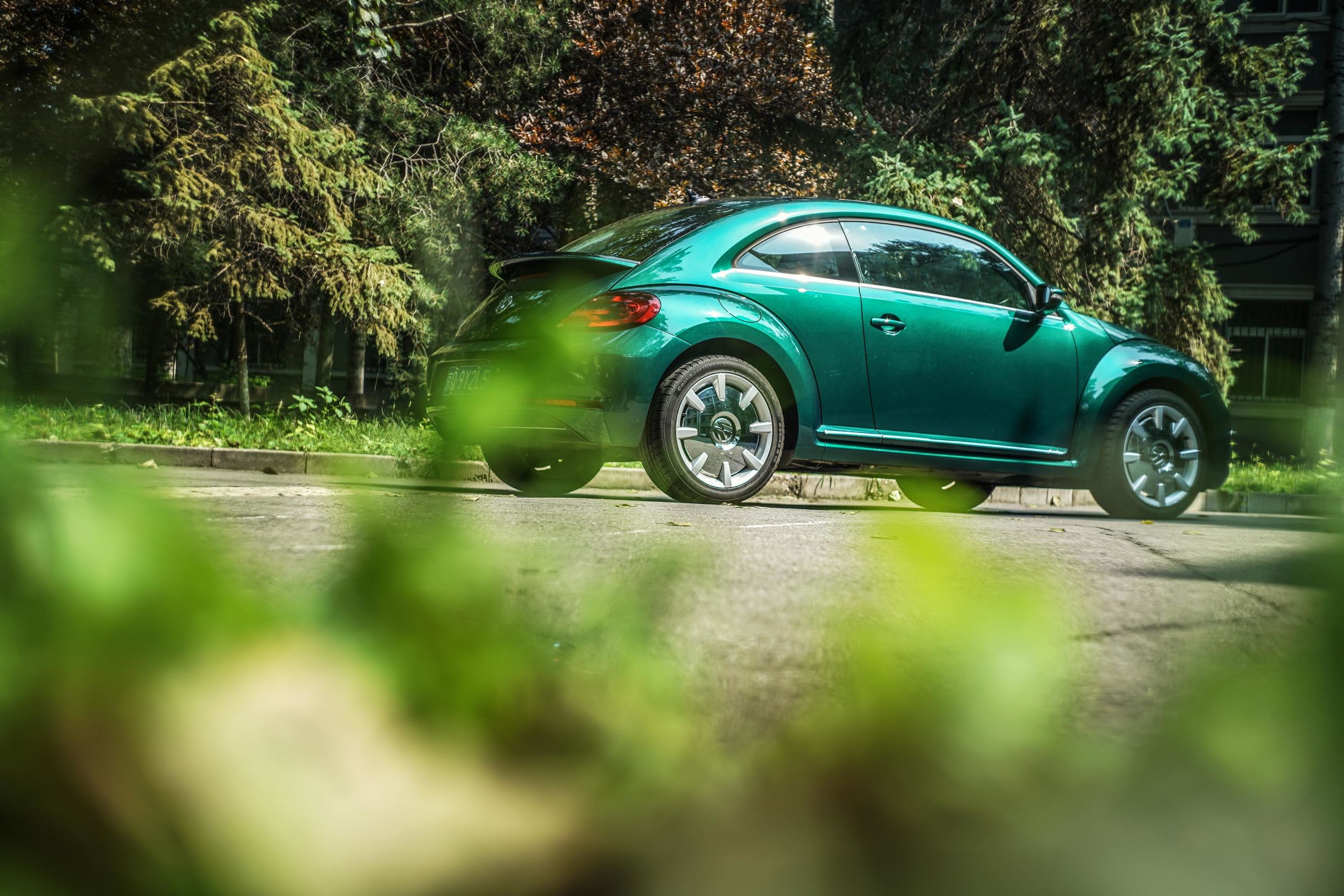 秋日里的竹璃绿｜大众甲壳虫