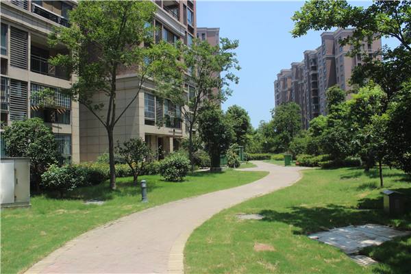 小区买房选楼栋注意事项,选房子是楼栋重要还是楼层重要