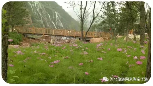 石家庄好玩的地方免费的露营地,石家庄周边户外露营哪儿好玩