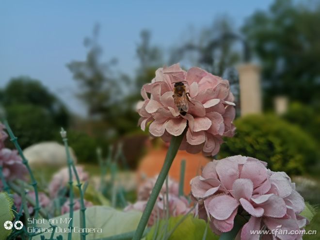 金立m7到底有多厉害,金立m7深度分析