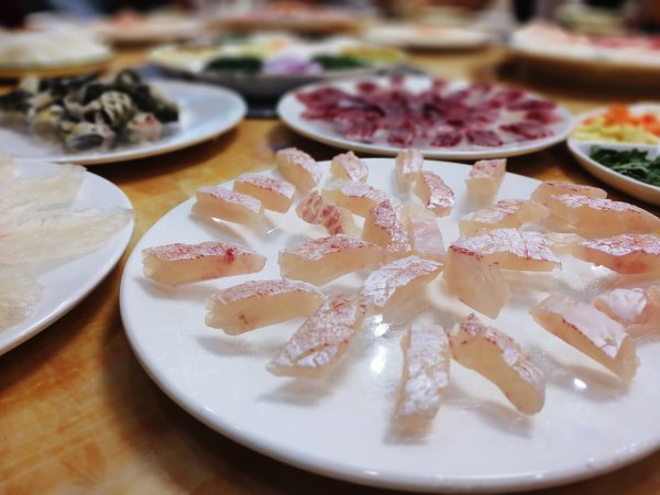 横县茉莉花之乡中华茉莉园,欢迎来到广西横县茉莉花之乡