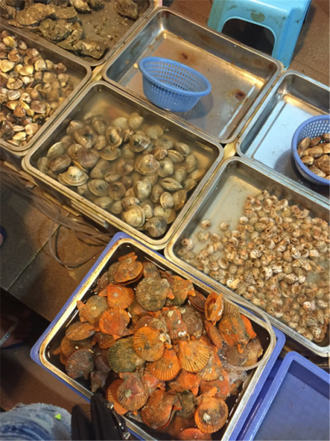 一场说走就走的自驾游旅行,一场说走就走的三亚之旅