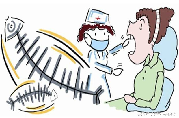 狗狗鱼刺卡在喉咙妙招,一招解决鱼刺卡喉