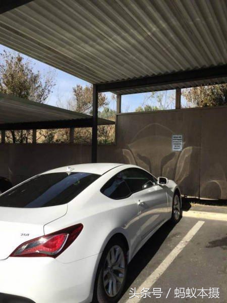 30张你一辈子也拍不到的照片,十种你一辈子都拍不到的照片