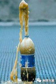 淘宝上的护肤品真的能用吗,淘宝上的护肤品是正规的吗