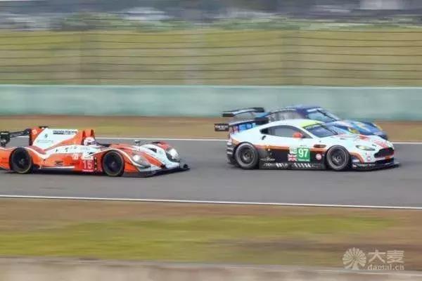 wec世界耐力锦标赛入坑指南,世界耐力锦标赛wec从哪看