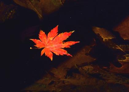 面部长斑怎么祛斑,祛斑内调一招搞定斑
