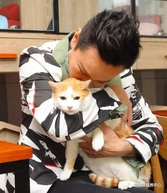 张信哲捡破烂开飞机,张信哲养的宠物