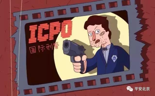 国际刑警组织是一个怎样的存在,国际刑警警察组织是什么组织