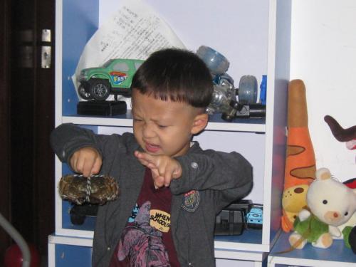 宝宝湿疹妈妈能吃青蟹吗,哺乳期吃螃蟹过敏吃什么最快解决