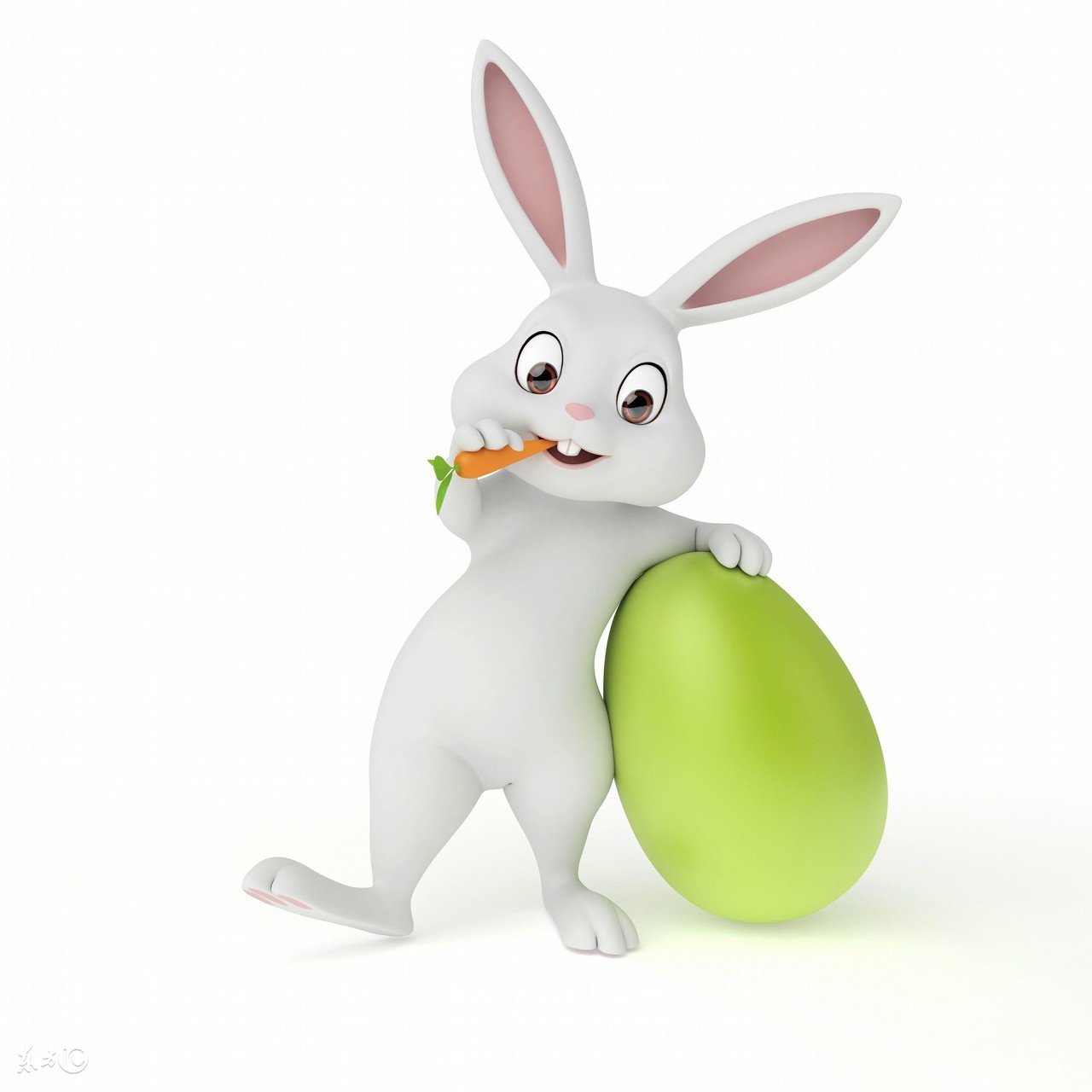 十二星座的开运宠物白羊座,12星座最适合养什么宠物