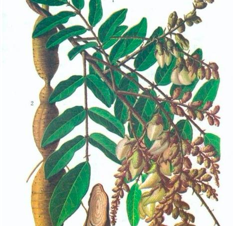 调理一切病证中医为何从脾胃入手,中医讲一切疾病从调脾胃开始