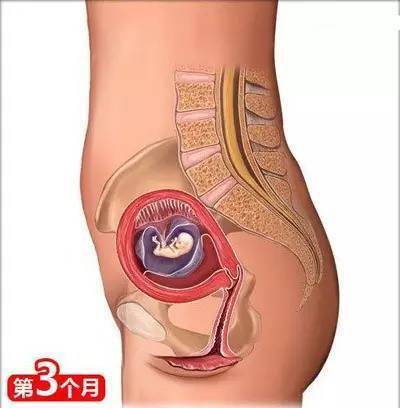 生孩子前孕妈需要知道的八件事,从怀孕到宝宝出生需要注意哪些