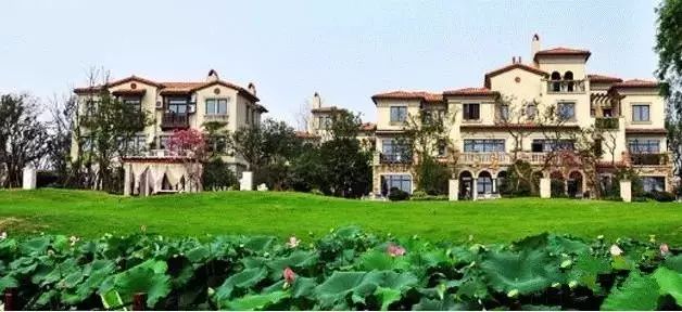 蔡甸为什么不发展老城区,蔡甸近10年有哪些变化