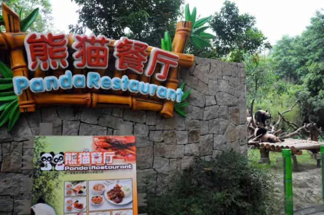 广州长隆野生动物园吃东西攻略,广州长隆野生动物园吃喝攻略