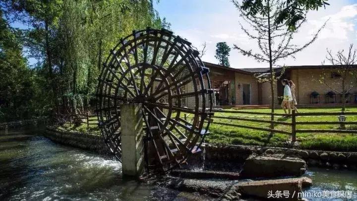 成都周边农场推荐,成都周边最有特色的农场