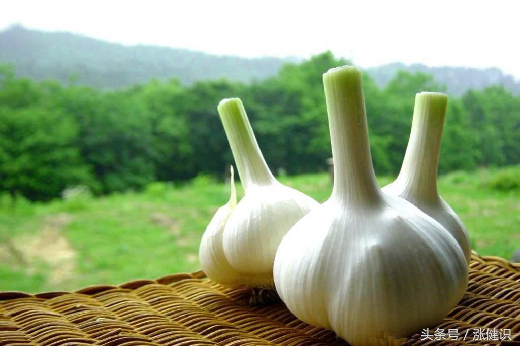 大蒜真菌感染的克星,大蒜便秘的克星