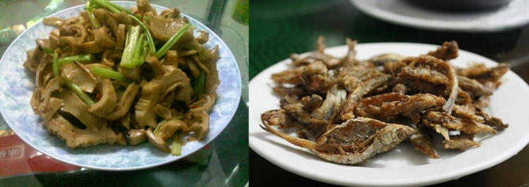 国庆出游指南之跟着感觉走,跟着电影去旅行国内一日游