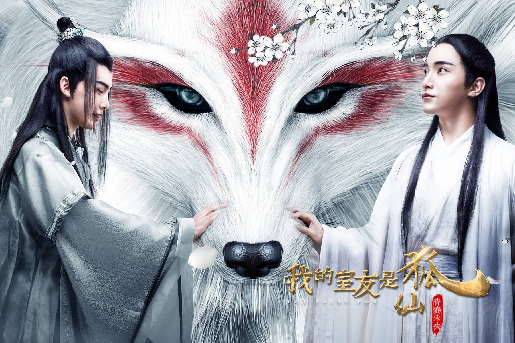 这些年，我们被安利的腐剧们