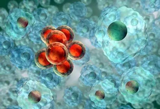 脐带血捐好还是自存好,血液科医生建议存脐带血有必要吗