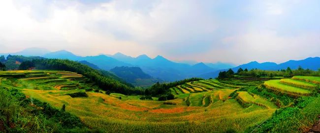 风吹稻浪黄金灿原创,风吹稻田金灿灿原文