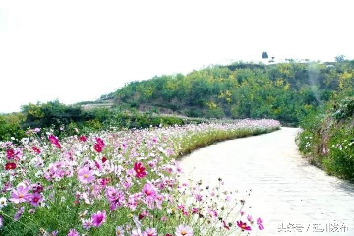 刘家山民宿优惠团购,刘家山民宿