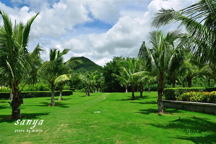 天堂很远中国很近,天堂很远扎西尼玛