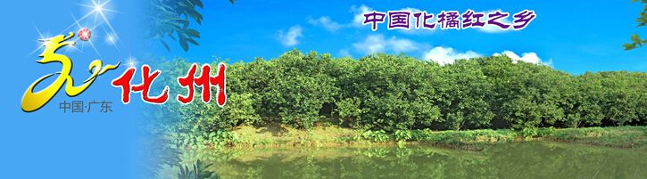 如何挑选好的化州橘红,如何挑选正宗化橘红