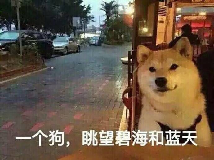 单身狗的正确处理方法,单身狗的终极结局