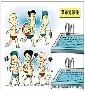 游泳池的水居然可以饮用,传说中的游泳池是什么
