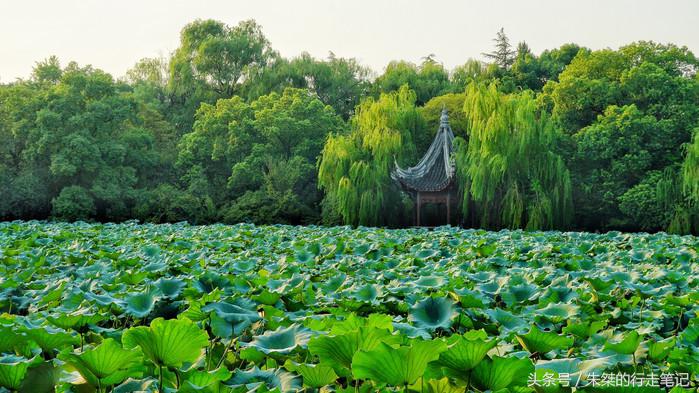 夜游南浔古镇感受江南水乡的美,江南六大古镇最值得一去的是南浔