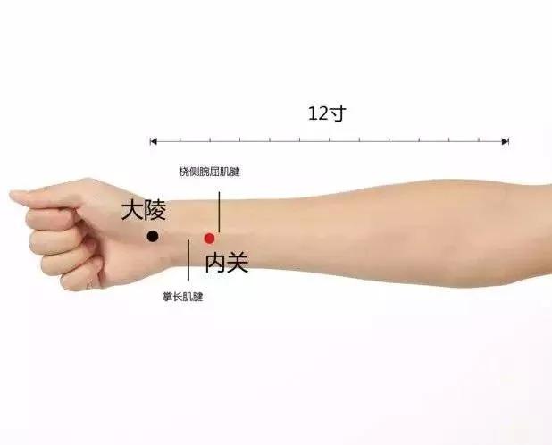 20个对身体有效黄金穴位,人体十大养生穴位