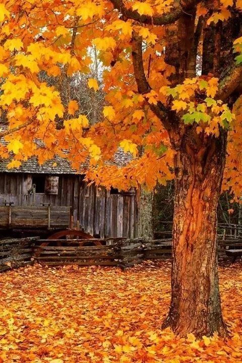 诗词鉴赏人生,诗词鉴赏人