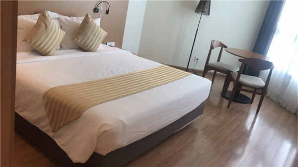 引领右脑总部2017越来越爱你越南芽庄游