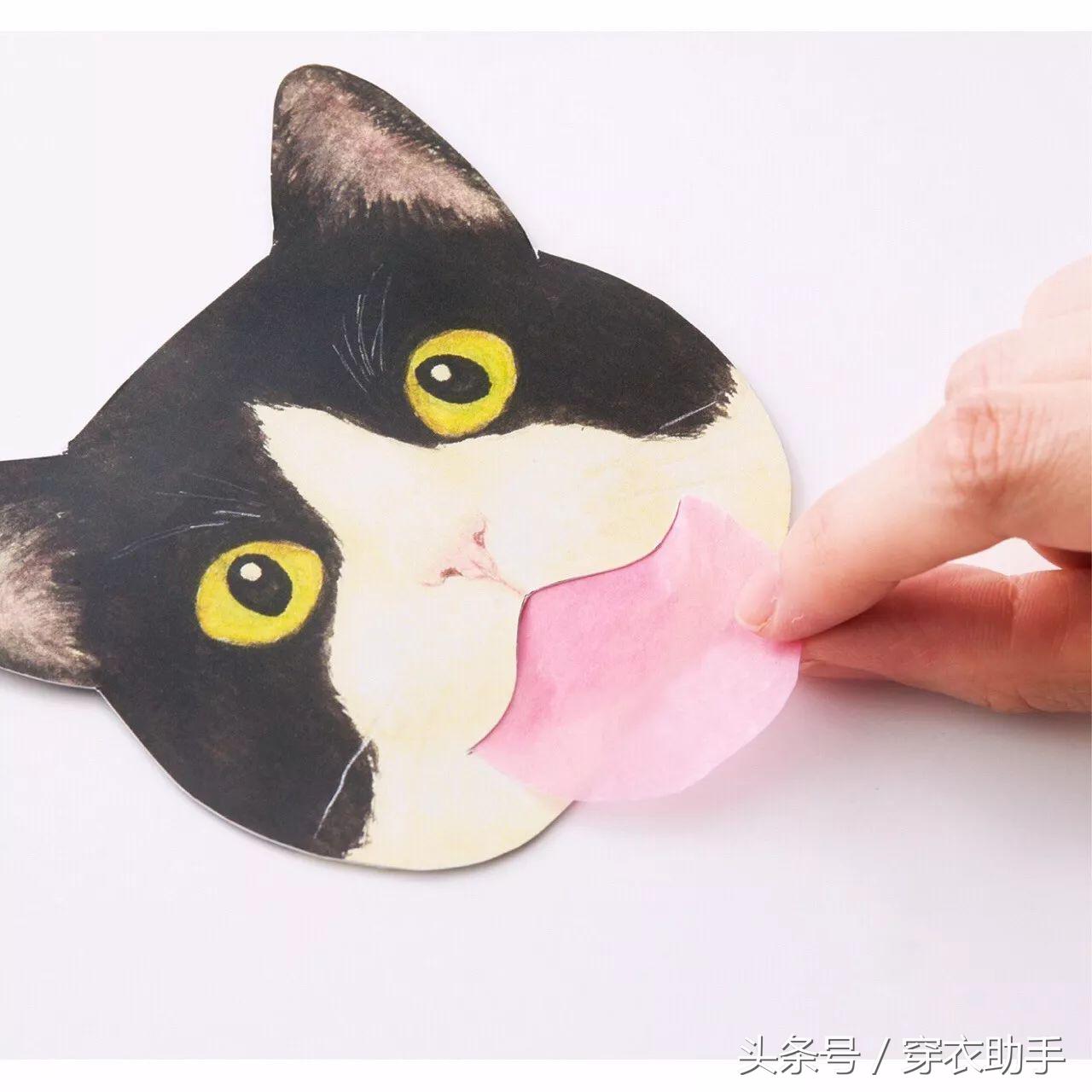 提升猫咪智商的玩具,提高猫咪的生活品质