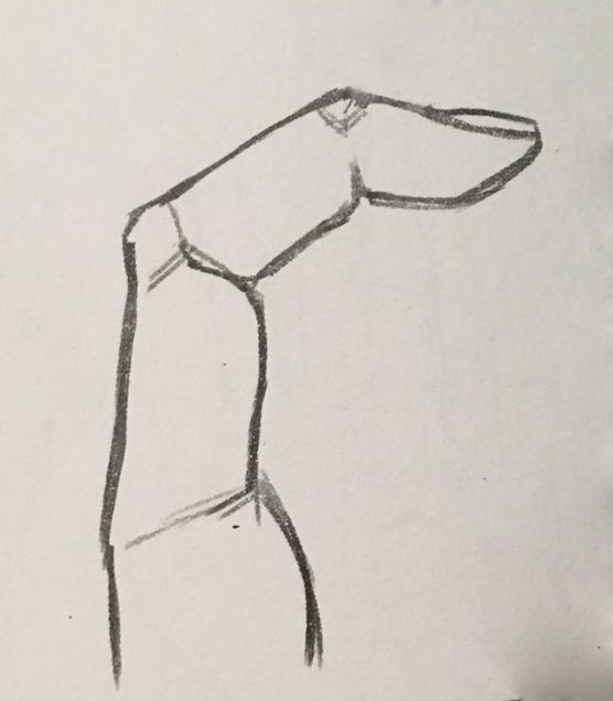 手指快速画法,弯曲的手指怎么画动漫