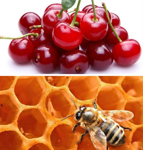 白果樱桃,樱桃白果